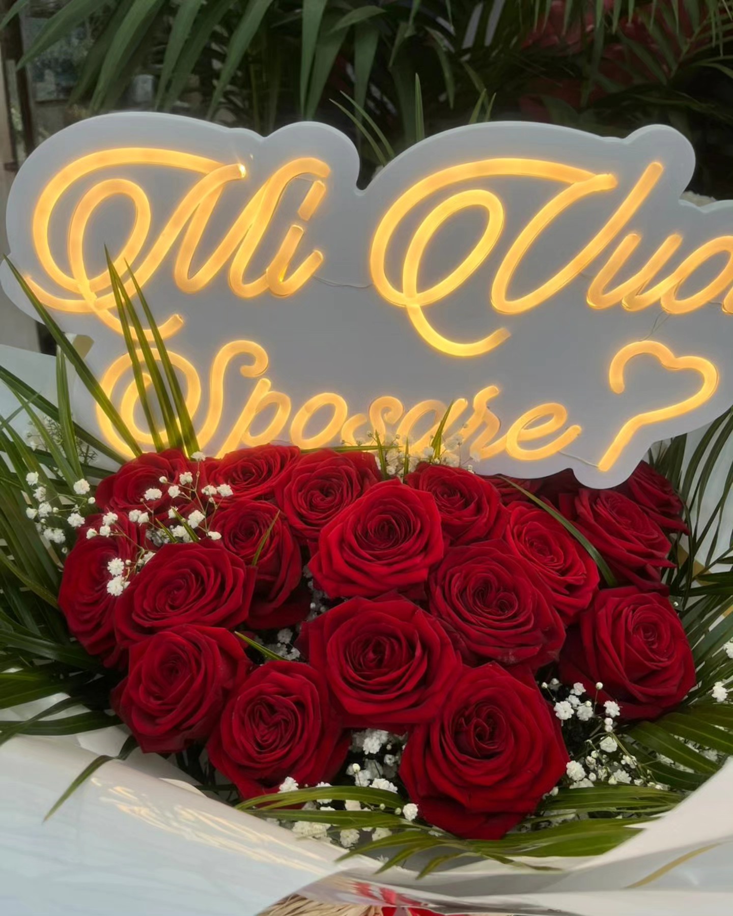 rose rosse